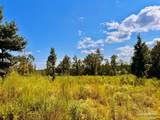 Lot 6C Cotton Lake Rd - Photo 18