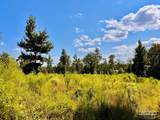 Lot 6C Cotton Lake Rd - Photo 19