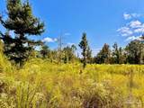 Lot 6C Cotton Lake Rd - Photo 21
