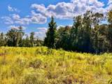 Lot 6C Cotton Lake Rd - Photo 22