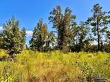 Lot 6C Cotton Lake Rd - Photo 7