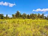 Lot 6C Cotton Lake Rd - Photo 8