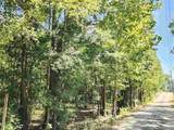 23595 County Road 47 - Photo 63