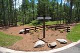 9107 Pine Preserve Ln - Photo 64