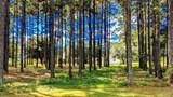 3171 Sam Sullivan Rd - Photo 69