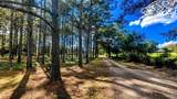 3171 Sam Sullivan Rd - Photo 70