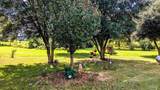 3171 Sam Sullivan Rd - Photo 72