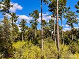 Lot 3 Morgans Branch - Photo 15