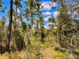 Lot 3 Morgans Branch - Photo 16