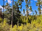 Lot 3 Morgans Branch - Photo 2