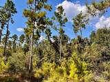 Lot 4 Morgans Branch - Photo 18