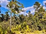 Lot 4 Morgans Branch - Photo 19