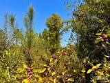 Lot 12 Morgans Branch - Photo 10