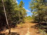 Lot 12 Morgans Branch - Photo 13