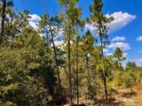 Lot 12 Morgans Branch - Photo 14