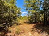 Lot 12 Morgans Branch - Photo 7