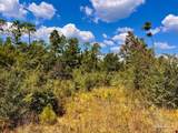 Lot 13 Morgans Branch - Photo 17