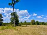 Lot 14 Morgans Branch - Photo 1