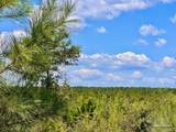 Lot 14 Morgans Branch - Photo 22
