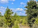 Lot 14 Morgans Branch - Photo 23