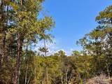 Lot 16 Morgans Branch - Photo 18