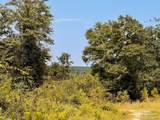 Lot 19 Morgans Branch - Photo 1