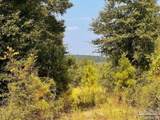 Lot 19 Morgans Branch - Photo 2