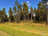 Lot 19 Morgans Branch - Photo 27