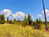 Lot 22 Morgans Branch - Photo 2