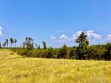Lot 24 Morgans Branch - Photo 22