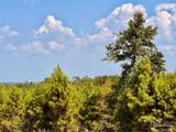 Lot 24 Morgans Branch - Photo 23
