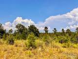 Lot 32 Morgans Branch - Photo 11