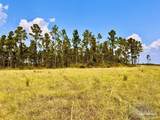 Lot 25 Morgans Branch - Photo 14