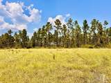 Lot 25 Morgans Branch - Photo 15