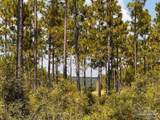 Lot 25 Morgans Branch - Photo 19