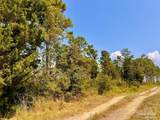 Lot 26 Morgans Branch - Photo 18