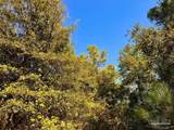 Lot 28 Morgans Branch - Photo 10
