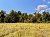 Lot 28 Morgans Branch - Photo 8