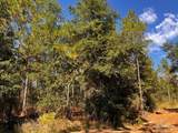 Lot 29 Morgans Branch - Photo 10