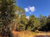 Lot 29 Morgans Branch - Photo 8