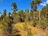 Lot 30 Morgans Branch - Photo 10