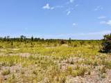 Lot 64 Naturewalk Dr - Photo 12
