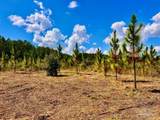 Lot 64 Naturewalk Dr - Photo 13