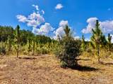 Lot 64 Naturewalk Dr - Photo 14