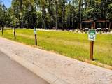 Lot 64 Naturewalk Dr - Photo 28