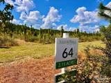 Lot 64 Naturewalk Dr - Photo 6