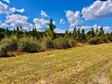 Lot 65 Naturewalk Dr - Photo 10