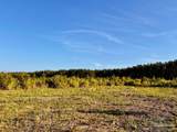 Lot 65 Naturewalk Dr - Photo 19