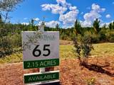 Lot 65 Naturewalk Dr - Photo 5