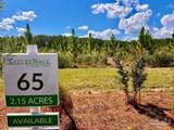 Lot 65 Naturewalk Dr - Photo 6